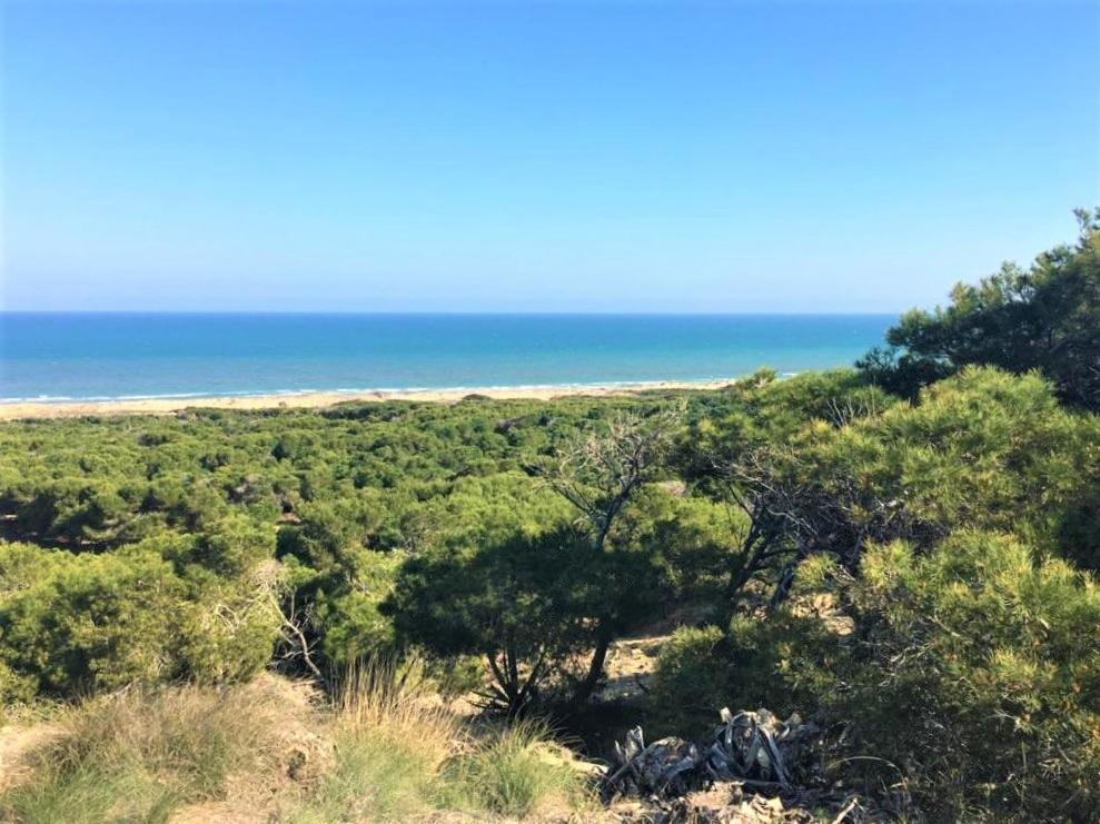 הוילה גראן אלקנט Casa Jirafa Con La Vista מראה חיצוני תמונה