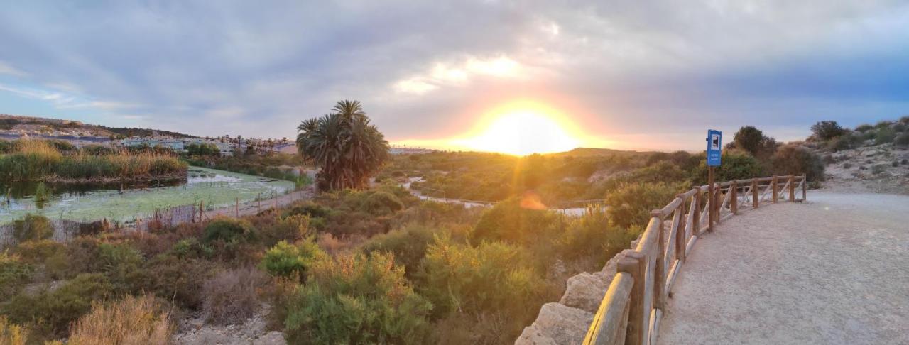 הוילה גראן אלקנט Casa Jirafa Con La Vista מראה חיצוני תמונה